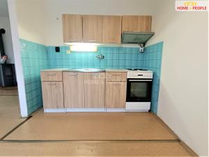 Pronájem bytu 1+kk, Chotěšov - Mantov, 41 m2