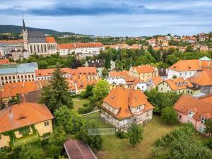 Prodej ubytování, Český Krumlov - Plešivec, Horská, 300 m2