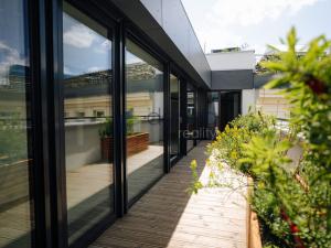 Pronájem obchodního prostoru, Praha - Nové Město, Václavské náměstí, 511 m2