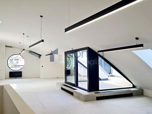 Pronájem obchodního prostoru, Praha - Nové Město, Václavské náměstí, 511 m2