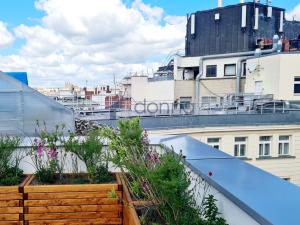 Pronájem obchodního prostoru, Praha - Nové Město, Václavské náměstí, 511 m2