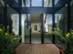 Pronájem obchodního prostoru, Praha - Nové Město, Václavské náměstí, 511 m2