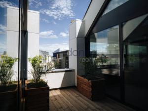 Pronájem obchodního prostoru, Praha - Nové Město, Václavské náměstí, 511 m2