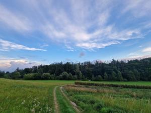 Prodej pozemku pro bydlení, Vyšehořovice, 905 m2