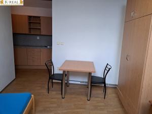 Pronájem bytu 1+kk, Libuň - Březka, 25 m2