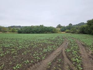 Prodej komerčního pozemku, Budyně nad Ohří - Nížebohy, Jana Ziky, 127087 m2