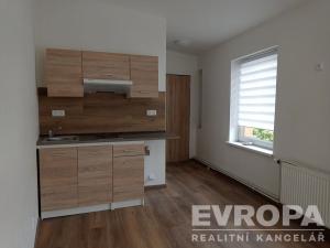 Pronájem bytu 1+kk, Liberec - Liberec II-Nové Město, Široká, 18 m2