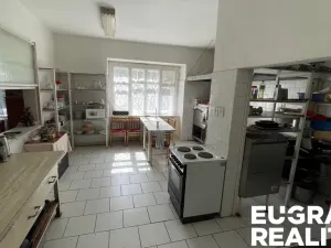 Prodej ubytování, Jiřetín pod Jedlovou - Lesné, 350 m2