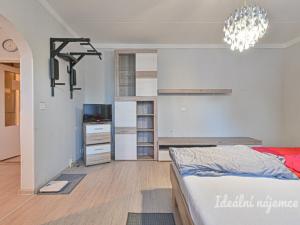 Pronájem bytu 3+1, Brno, U pošty, 73 m2