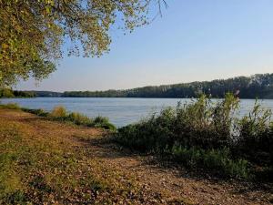 Prodej pozemku pro bydlení, Tuchlovice - Srby, 554 m2