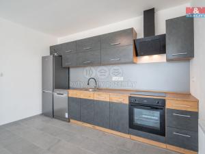 Pronájem rodinného domu, Slaný - Lotouš, 88 m2