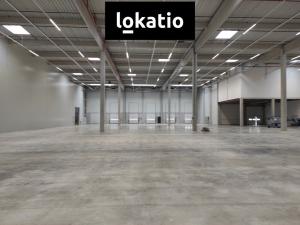 Pronájem skladu, Kozomín, 7420 m2