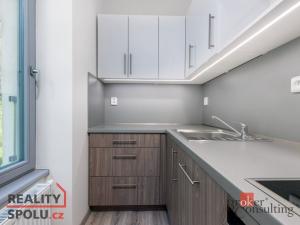 Pronájem bytu 1+kk, Chrudim - Chrudim II, Podkopanický mlýn, 32 m2