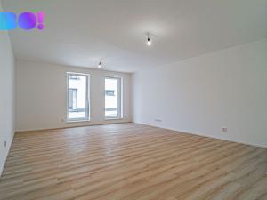 Prodej bytu 2+kk, Prostějov, Mlýnská, 105 m2