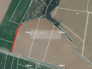 Prodej sadu/vinice, Velké Všelisy - Zamachy, 11900 m2