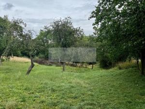 Prodej sadu/vinice, Velké Všelisy - Zamachy, 11900 m2