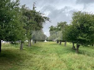 Prodej sadu/vinice, Velké Všelisy - Zamachy, 11900 m2