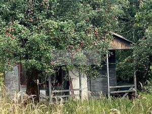 Prodej sadu/vinice, Velké Všelisy - Zamachy, 11900 m2