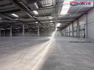 Pronájem výrobních prostor, Velký Osek, Prokopa Holého, 10000 m2