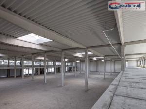 Pronájem výrobních prostor, Brno - Líšeň, Trnkova, 16000 m2