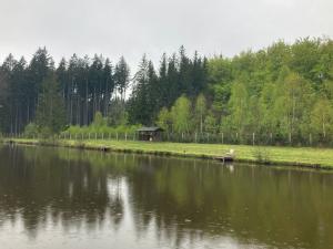 Pronájem rodinného domu, Velká Hleďsebe, 200 m2