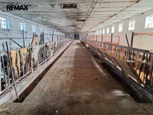 Prodej zemědělského objektu, Nové Dvory, 1377 m2