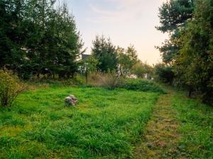 Prodej zemědělské usedlosti, Lešany - Břežany, 300 m2