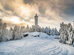 Prodej pozemku, Zlatá Olešnice, 1101 m2