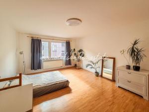 Pronájem bytu 1+kk, Praha - Podolí, Sinkulova, 34 m2