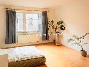 Pronájem bytu 1+kk, Praha - Podolí, Sinkulova, 34 m2