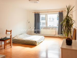 Pronájem bytu 1+kk, Praha - Podolí, Sinkulova, 34 m2