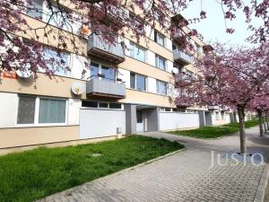 Pronájem bytu 2+kk, Strakonice - Strakonice I, Mlýnská, 41 m2