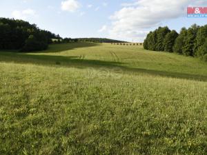 Prodej louky, Bohuňov, 10911 m2