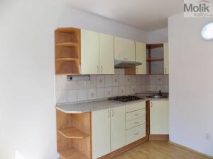 Pronájem bytu 2+kk, Ústí nad Labem - Severní Terasa, Maková, 33 m2