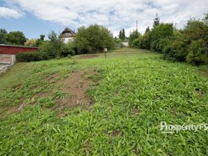 Prodej zahrady, Kropáčova Vrutice - Střížovice, 549 m2