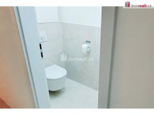 Pronájem bytu 3+kk, Plzeň - Východní Předměstí, Truhlářská, 88 m2