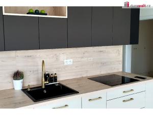 Pronájem bytu 3+kk, Plzeň - Východní Předměstí, Truhlářská, 88 m2