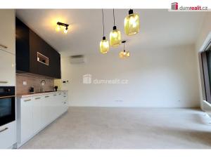 Pronájem bytu 3+kk, Plzeň - Východní Předměstí, Truhlářská, 88 m2