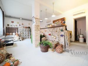 Pronájem obchodního prostoru, České Budějovice - České Budějovice 2, Husova tř., 69 m2