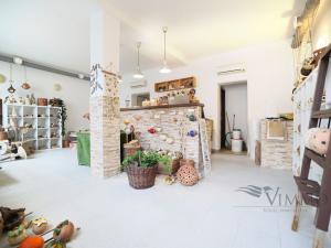 Pronájem obchodního prostoru, České Budějovice - České Budějovice 2, Husova tř., 69 m2