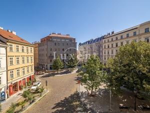 Pronájem bytu 5+1, Praha - Staré Město, Kozí