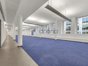 Pronájem kanceláře, Praha - Karlín, Křižíkova, 388 m2