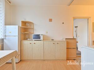 Pronájem bytu 1+1, Brno - Komín, Absolonova, 32 m2