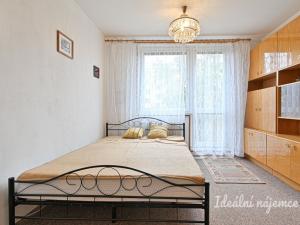 Pronájem bytu 1+1, Brno - Komín, Absolonova, 32 m2