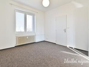 Pronájem bytu 2+1, Brno - Staré Brno, Výstavní, 59 m2