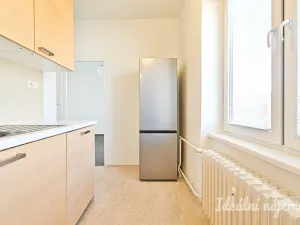 Pronájem bytu 2+1, Brno - Staré Brno, Výstavní, 59 m2