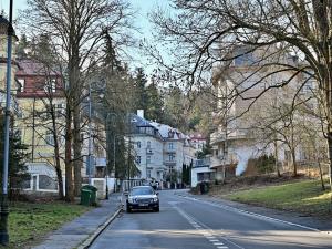 Prodej komerčního pozemku, Karlovy Vary, Křižíkova, 468 m2