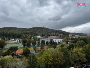 Pronájem bytu 1+kk, Ústí nad Labem - Bukov, Vinařská, 32 m2