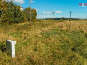 Prodej pozemku pro bydlení, Přimda - Malé Dvorce, 1391 m2