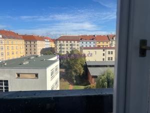 Pronájem bytu 3+kk, Praha - Vinohrady, Libická, 75 m2